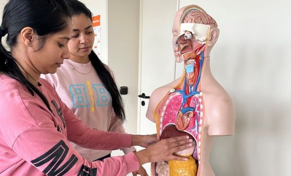 Anhand eines Organ-Modells frischen Lehrgangsteilnehmerinnen, darunter Nimmy Mathew (hinten), ihr Wissen über die Anatomie des menschlichen Körpers auf.