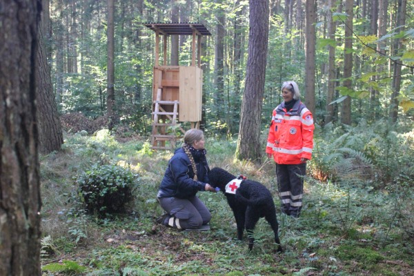 Das Bild zeigt Rettungshund-Azubi Cedric beim Auffinden einer "vermissten Person"